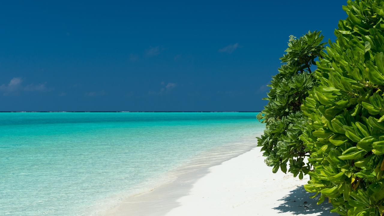 Thoddoo Beach Holiday Eksteriør bilde