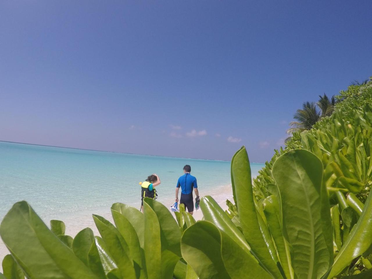 Thoddoo Beach Holiday Eksteriør bilde