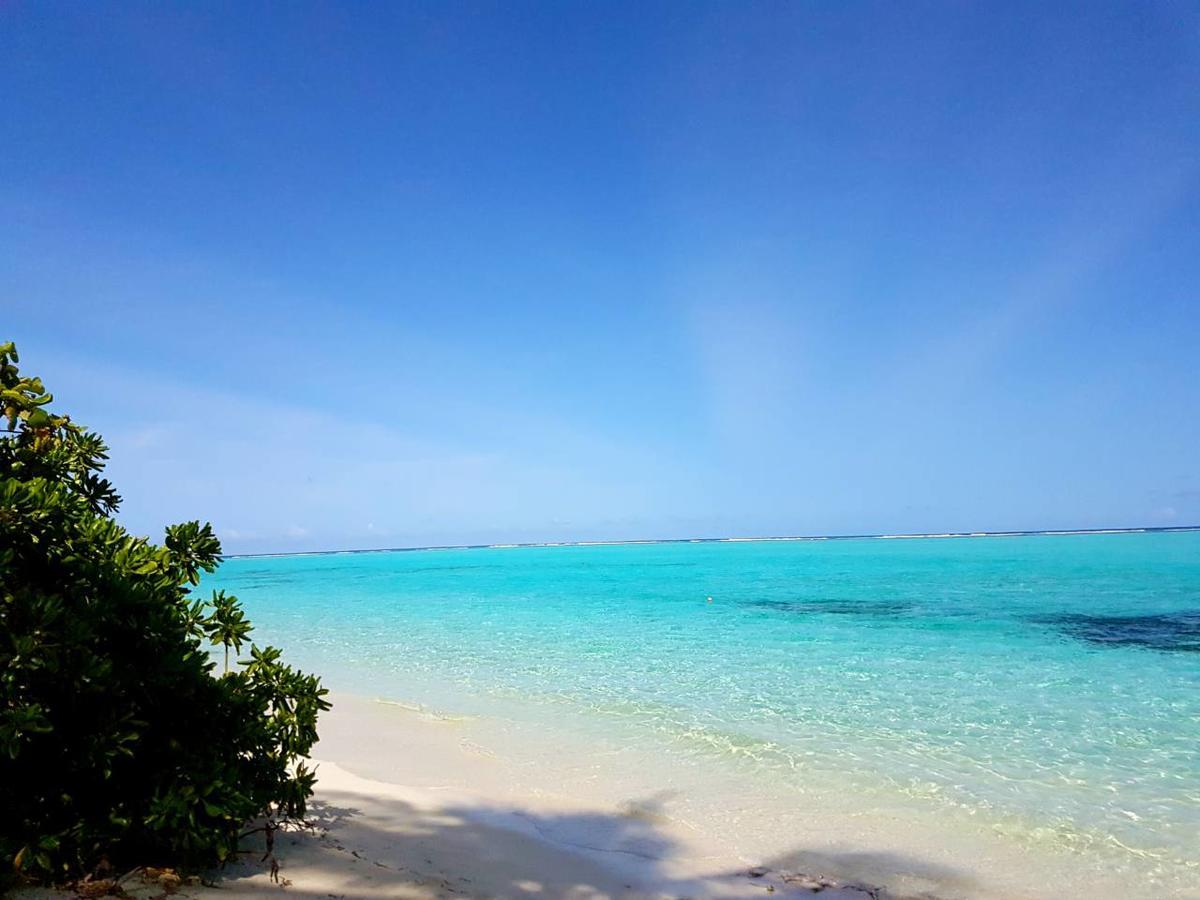 Thoddoo Beach Holiday Eksteriør bilde