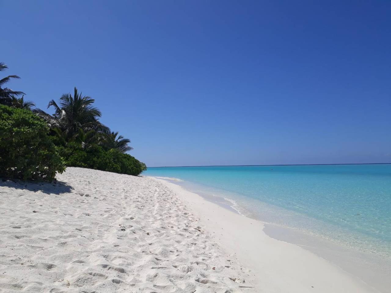 Thoddoo Beach Holiday Eksteriør bilde