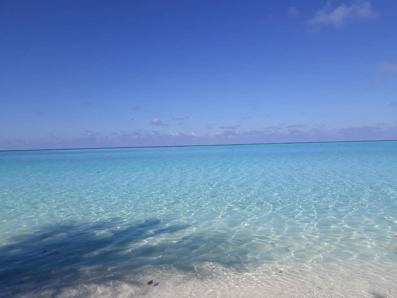 Thoddoo Beach Holiday Eksteriør bilde