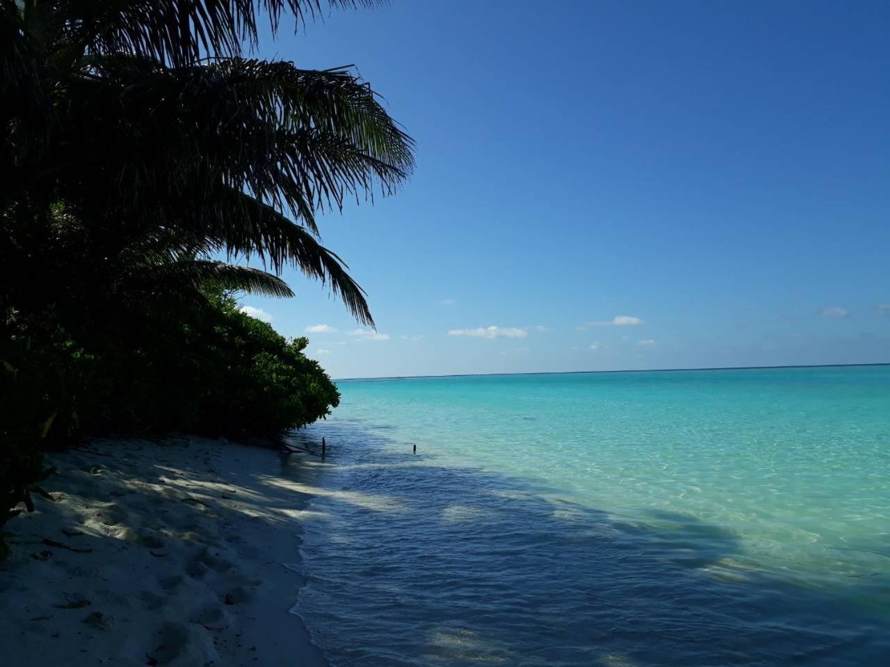 Thoddoo Beach Holiday Eksteriør bilde